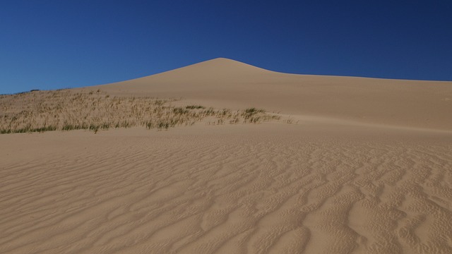 desert dune buggy