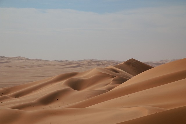 desert dune buggy