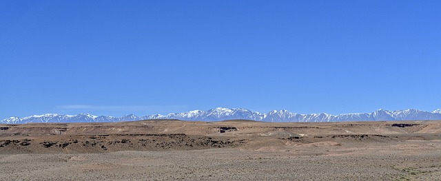 desert dune buggy