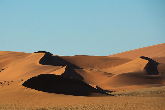 desert dune buggy