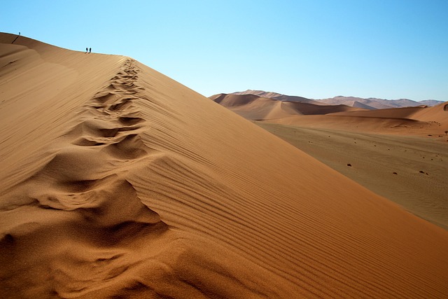 desert dune buggy