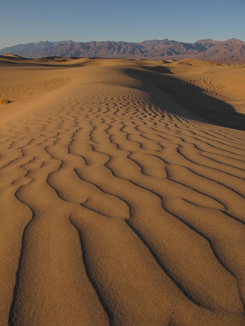 desert dune buggy