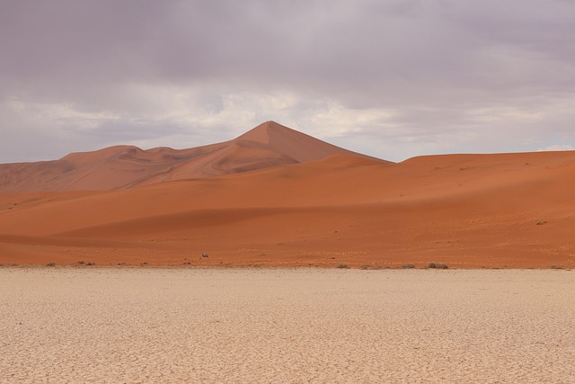desert dune buggy