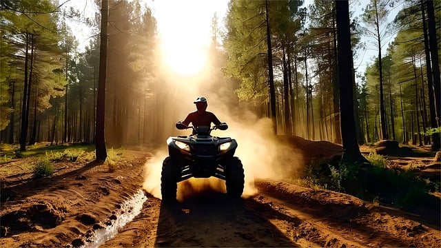 desert quad