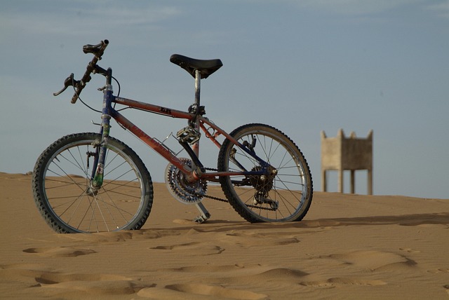 desert quad bike