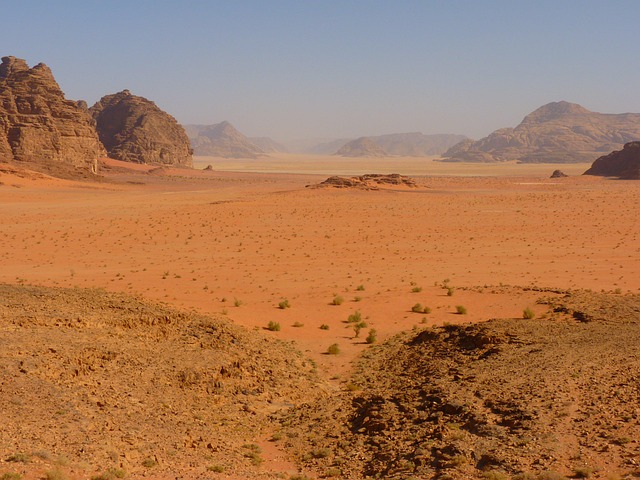 desert safari