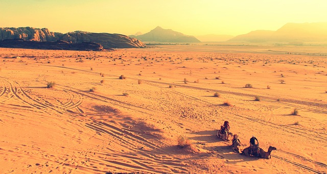 Desert Safari