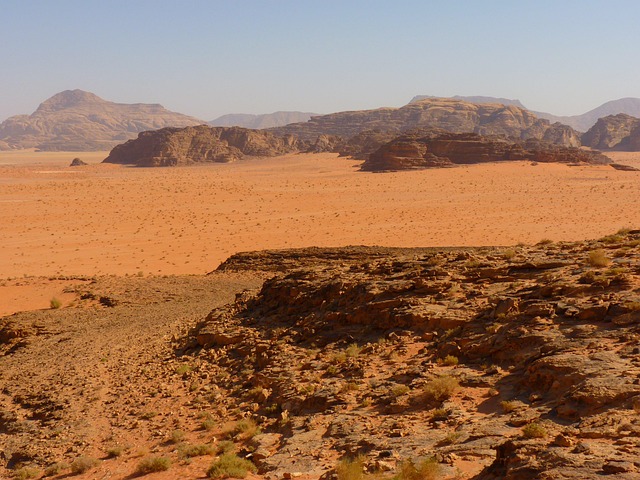 Desert Safari