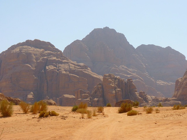desert safari