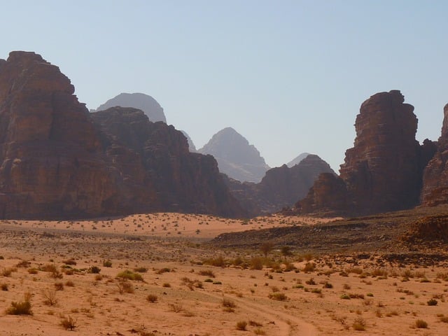 desert safari