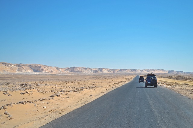 Desert Safari