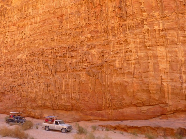 desert safari