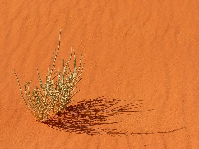 desert-safari-640x480-63185441.jpeg
