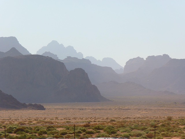 desert safari