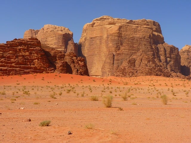 desert safari