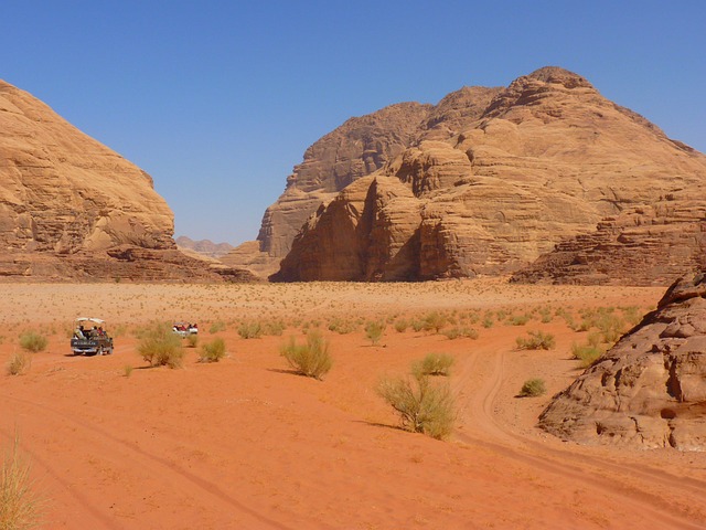 desert safari