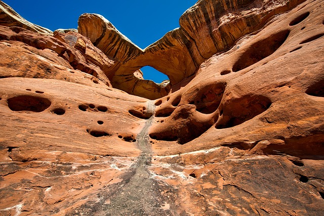 desert-safari-640x480-9267270.jpeg