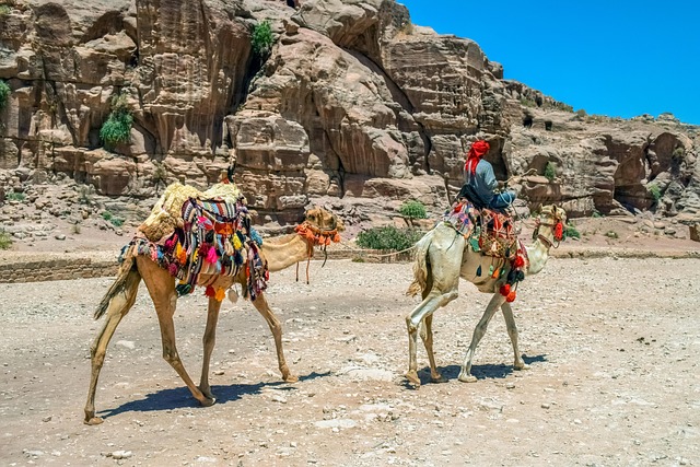 Desert safari Al Barsha