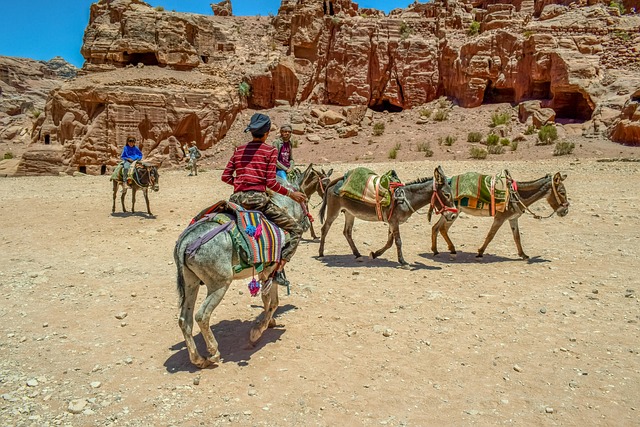 Desert safari Al Barsha