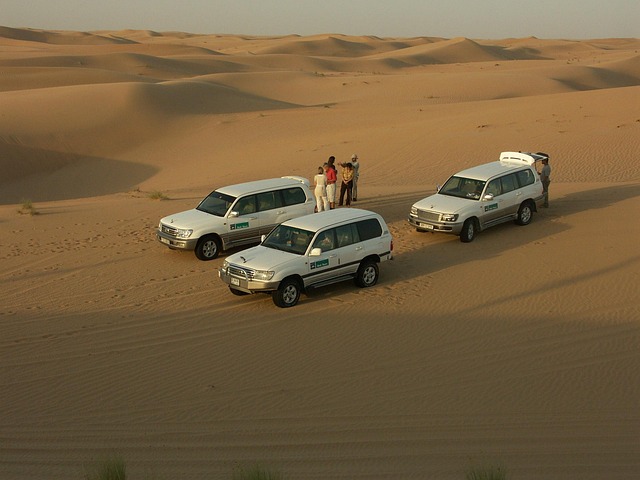 Desert safari Al Safa