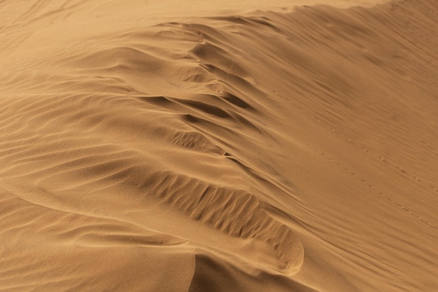 Desert safari Al Safa