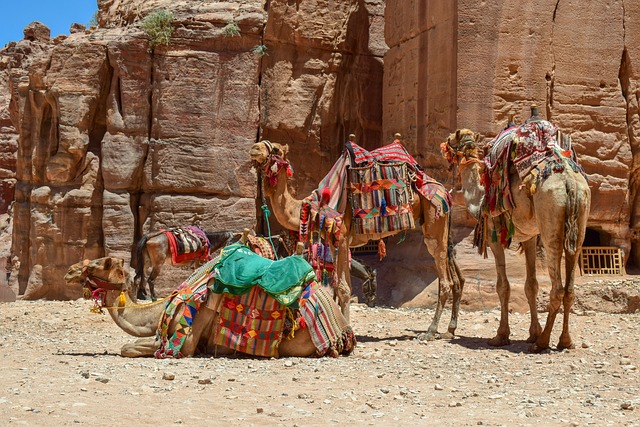 Desert safari Al Safa