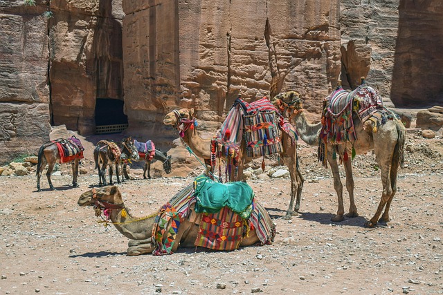 Desert safari Al Safa