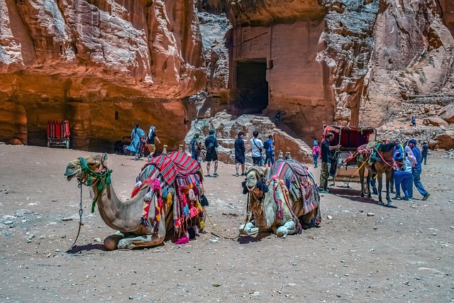 Desert safari Al Safa