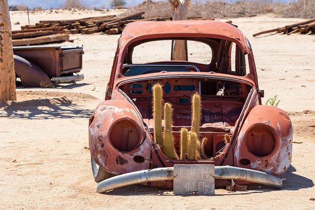 Desert safari Bur