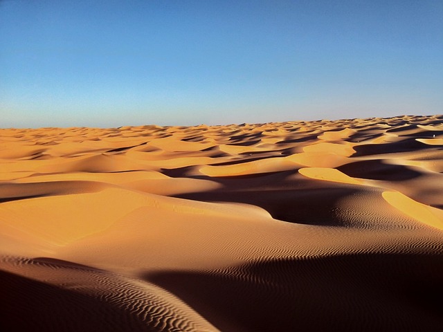 Dubai Desert Safaris: Seamless Downtown Transport & Pickup Services