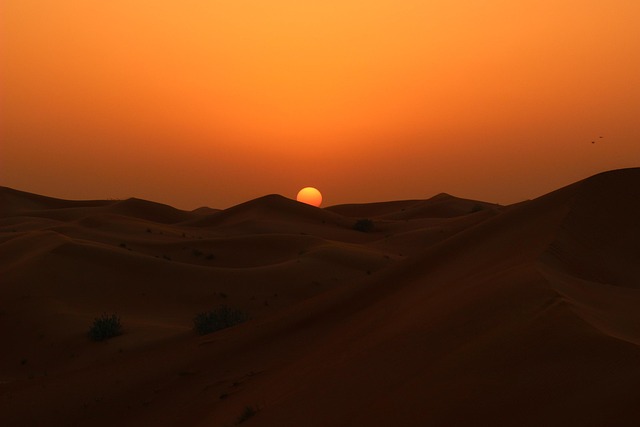Desert safari Emirates Hills