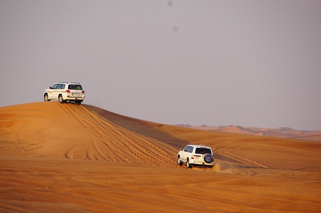 Desert safari Emirates Hills