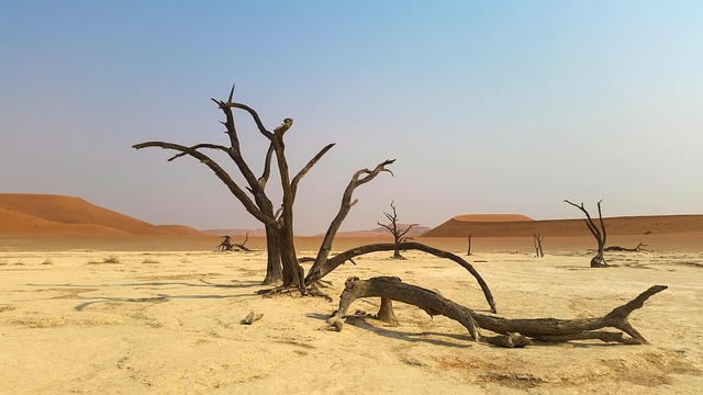 Desert safari  Investment Park