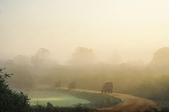 Desert safari  Investment Park
