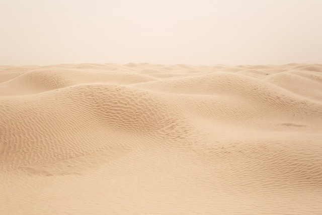 Desert safari  Investment Park