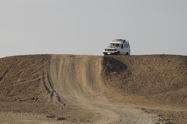 Discovering Desert Wildlife: A Guide to Jumeirah Lake Towers Safari Experiences