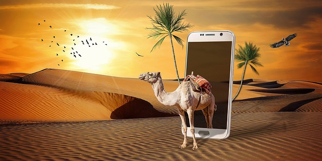 Desert safari Palm Jumeirah