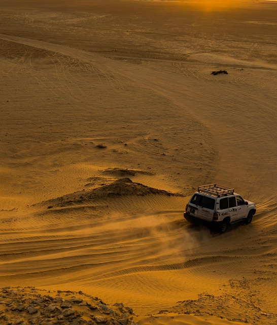 Desert safari  Silicon Oasis