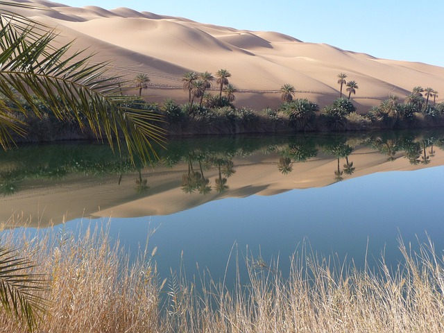 Desert safari  Silicon Oasis
