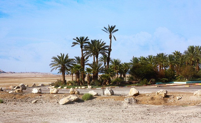 Dubai Silicon Oasis: Discovering Desert Safari’s Magic with Pickup Services