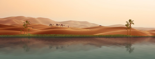 Desert safari  Silicon Oasis