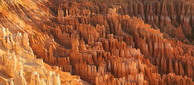 Discovering Extreme Desert Bliss: Sandboarding Adventure Trips