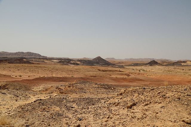 desert safari tours