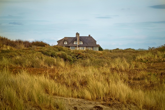 dune bashing