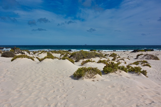dune-bashing-640x480-20393794.jpeg