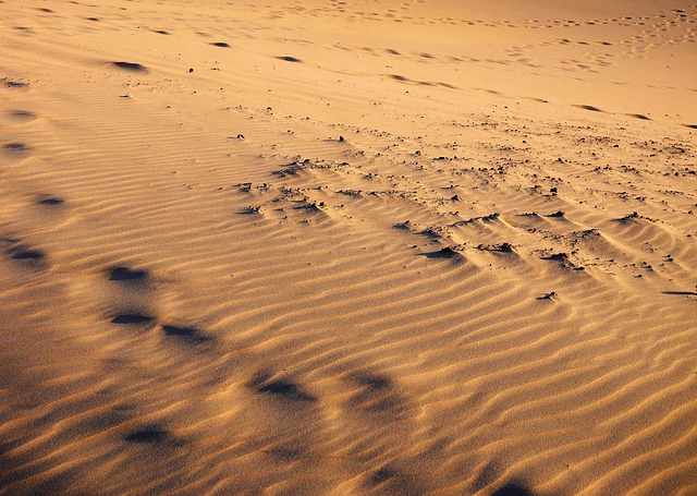 dune bashing