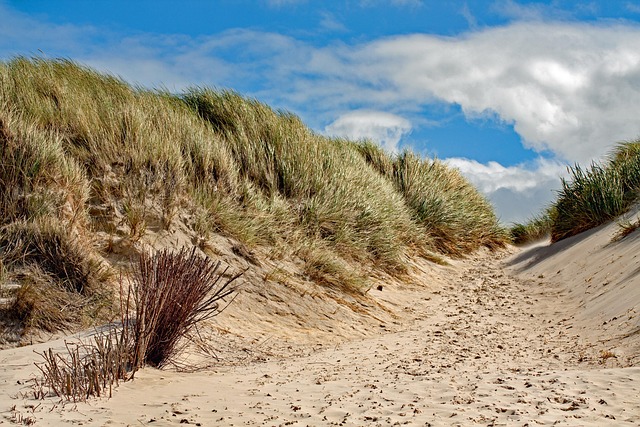 dune bashing