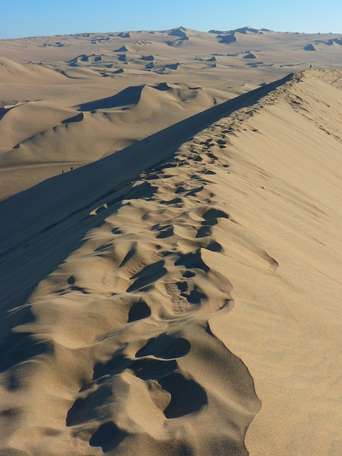dune bashing