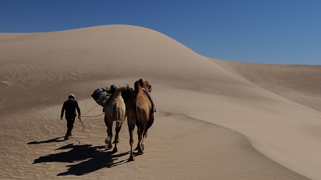 dune bashing