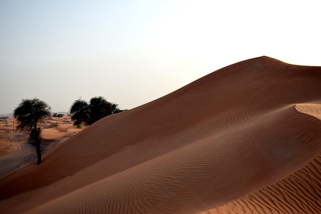 dune bashing